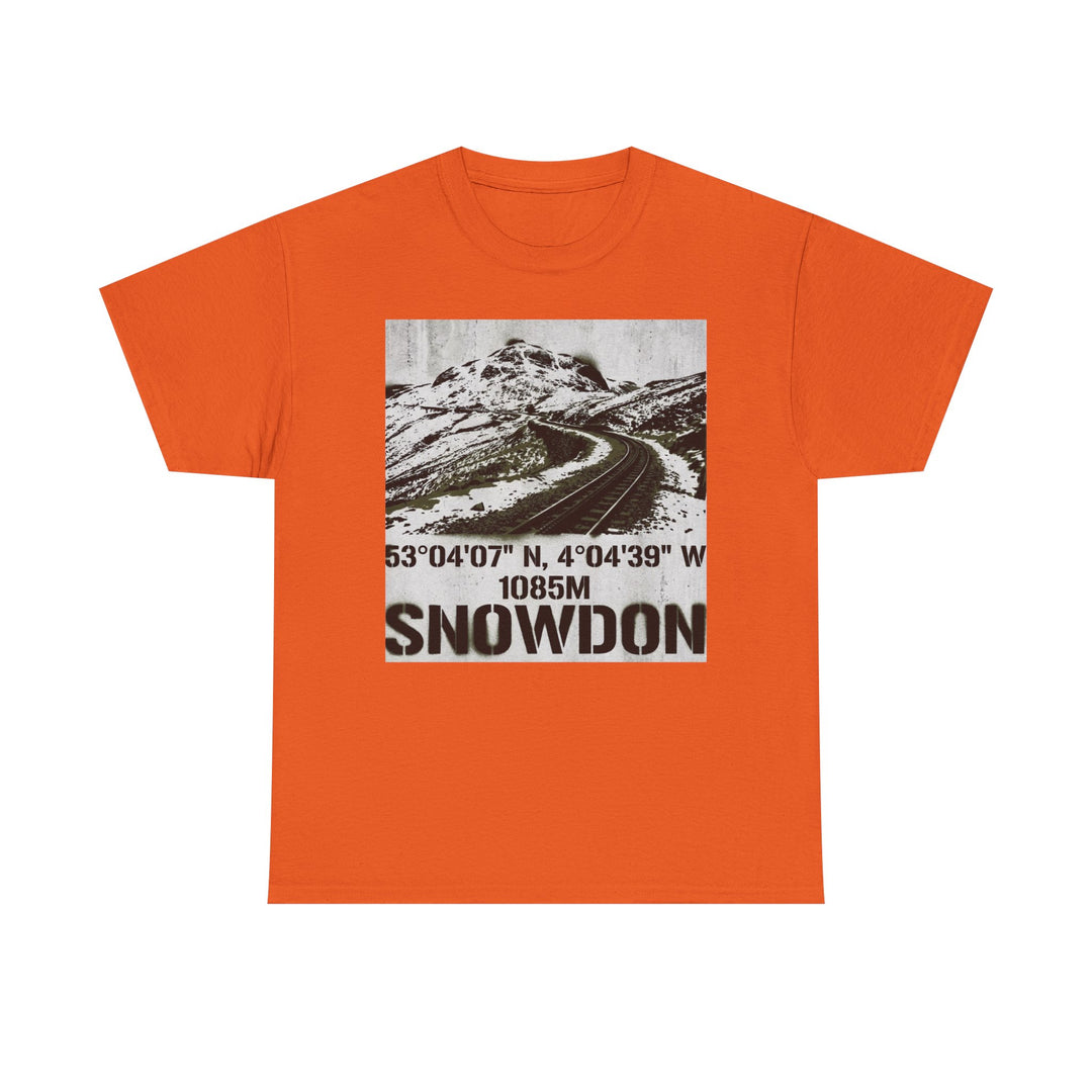 Snowdon Mountain Tee — Snowdon 1085M Coordinates Graphic T-Shirt