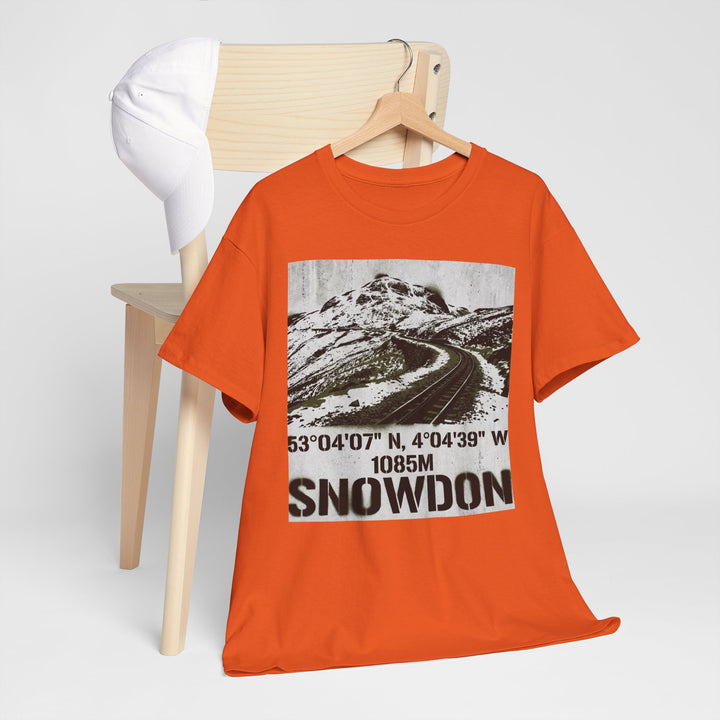 Snowdon Mountain Tee — Snowdon 1085M Coordinates Graphic T-Shirt